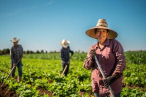 New Zealand Farm Worker Jobs 2026 – High Demand, Visa Options, and Salary Guide