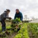 New Zealand Farm Worker Jobs 2026 – High Demand, Visa Options, and Salary Guide